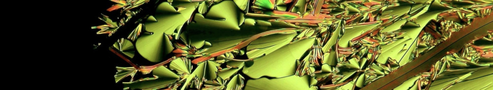 Researchers from the Bilbao Liquid Crystals Group working in a laboratory